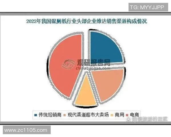 西安排球队在阵地战中的优势与不足分析